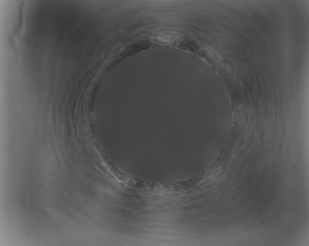 X0000082941009200702152208