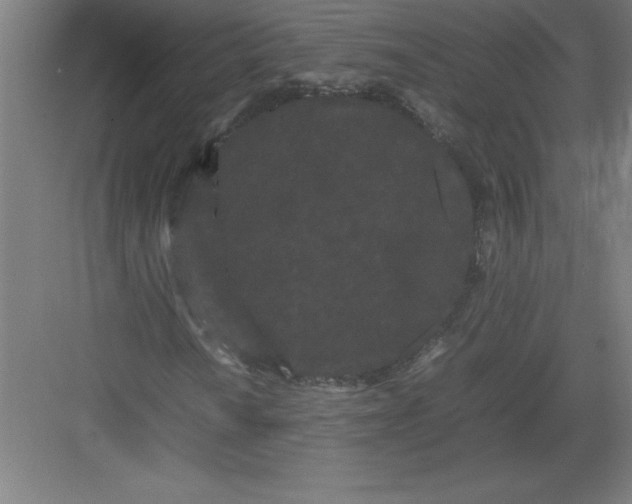 X0000082941010200702152208