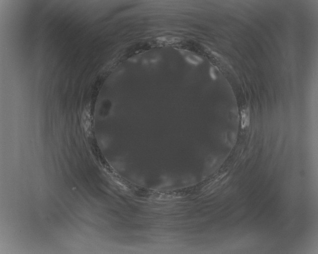 X0000082941011200702152208