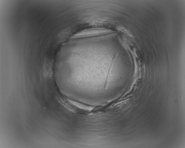 X0000082941012200702152208