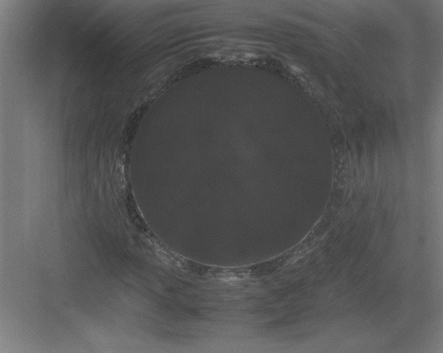 X0000082941013200702152208