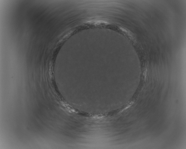 X0000082941014200702152208