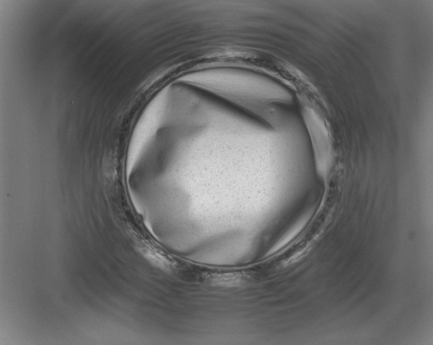 X0000082941017200702152208