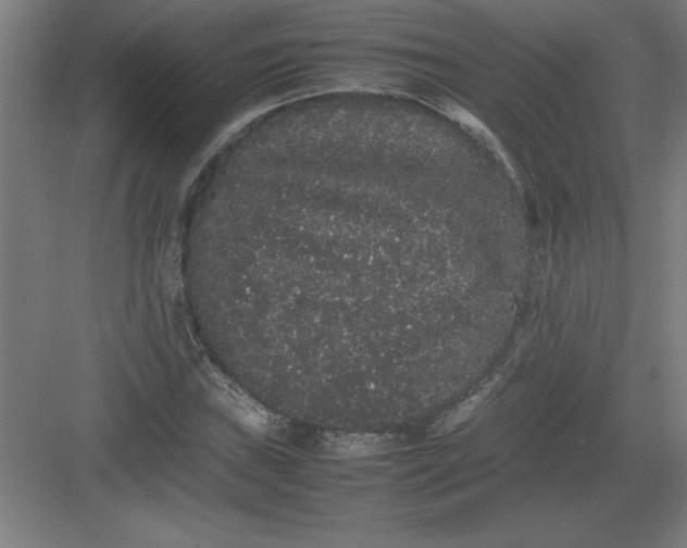 X0000082941019200702152208