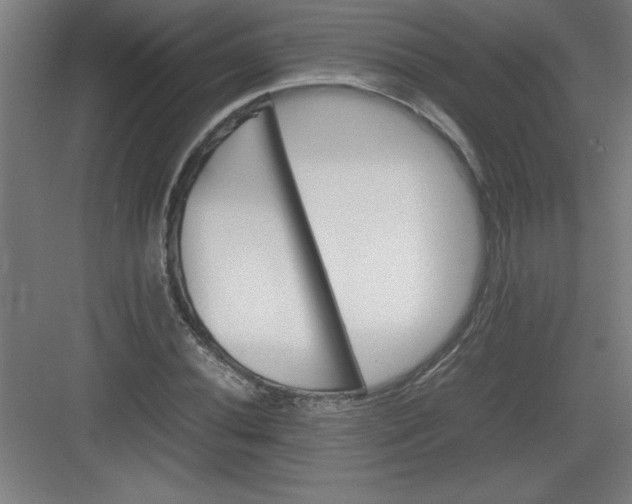 X0000082941020200702152208