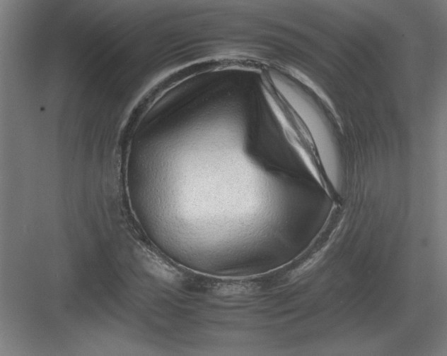 X0000082941021200702152208