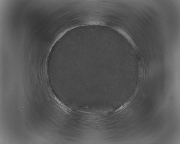 X0000082941023200702152208