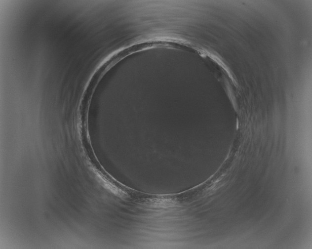 X0000082941024200702152208