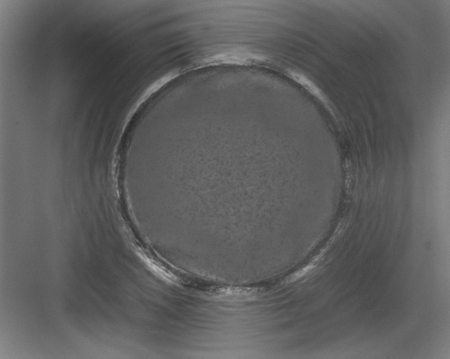 X0000082941026200702152208