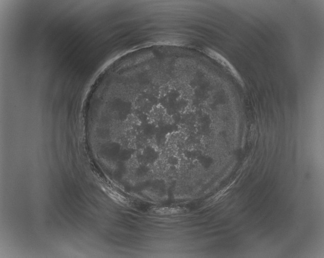 X0000082941027200702152208