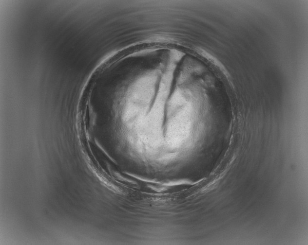 X0000082941029200702152208