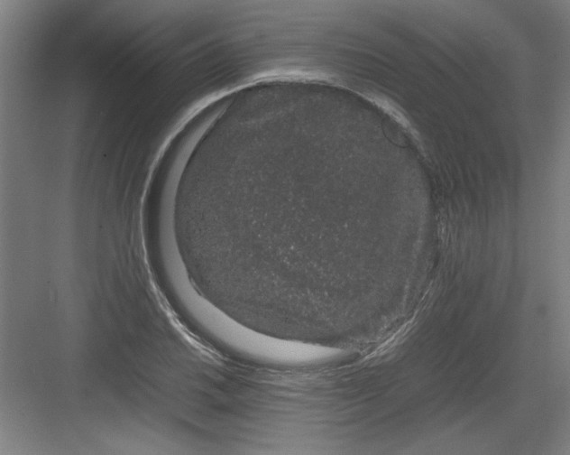 X0000082941030200702152208