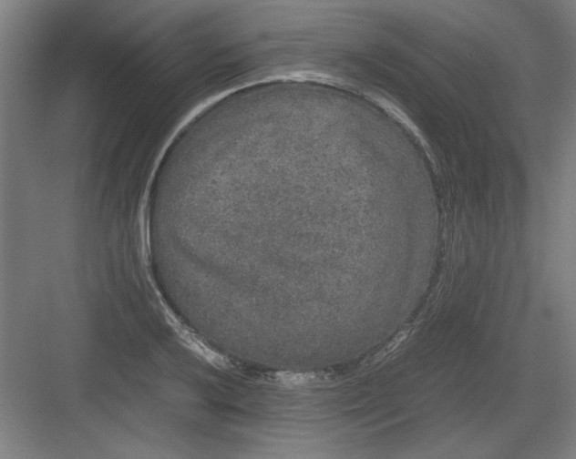 X0000082941032200702152208