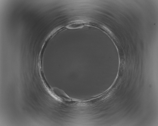 X0000082941034200702152208