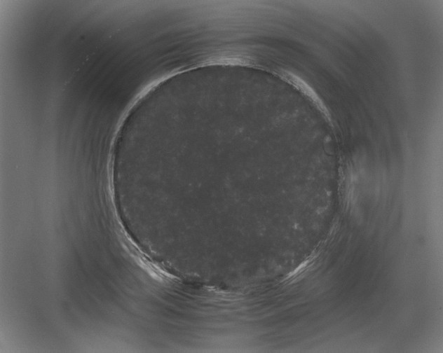 X0000082941035200702152208