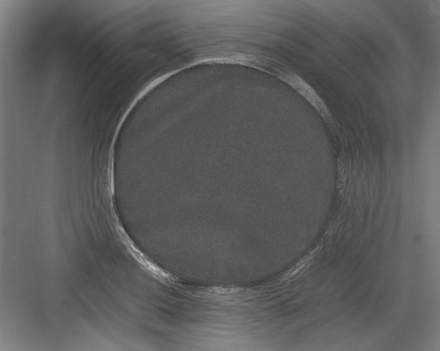 X0000082941036200702152209