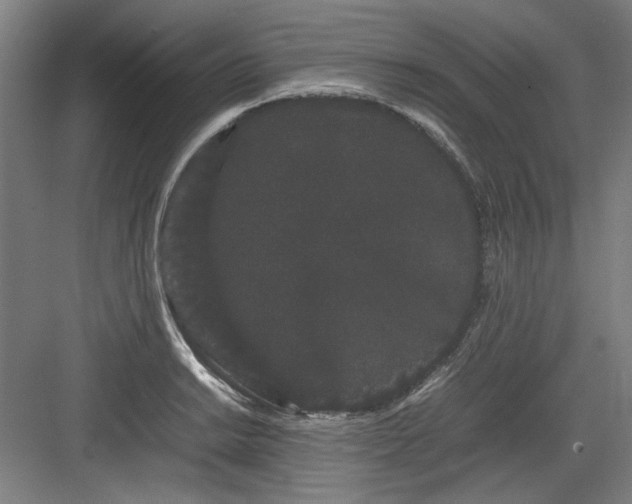 X0000082941038200702152209