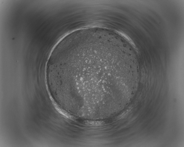 X0000082941039200702152209