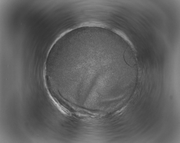 X0000082941040200702152209