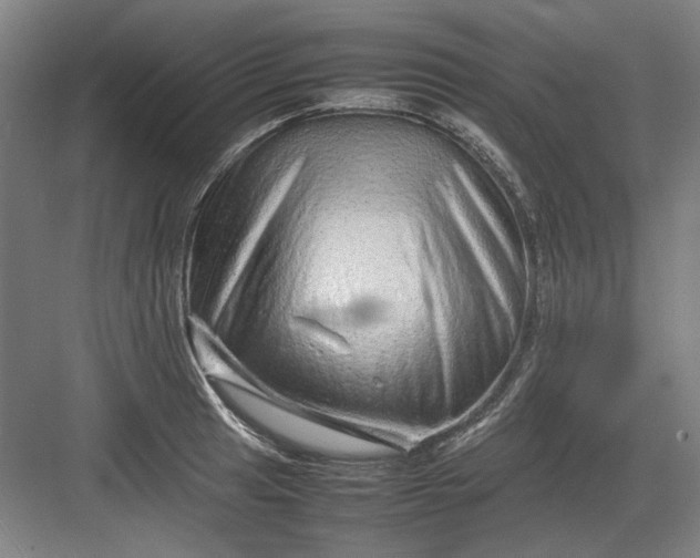 X0000082941041200702152209