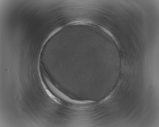 X0000082941042200702152209