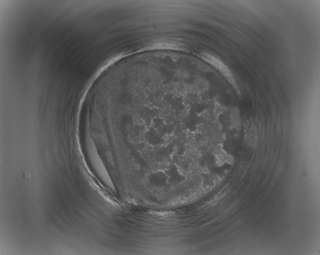 X0000082941043200702152209