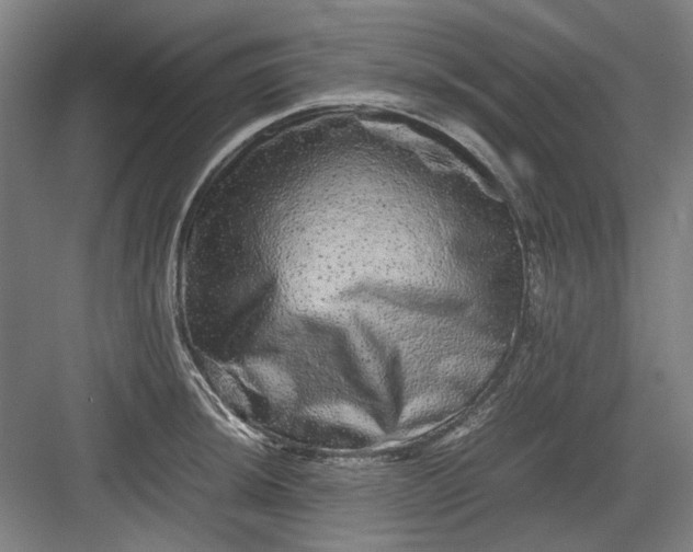 X0000082941044200702152209