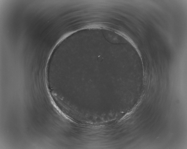 X0000082941045200702152209