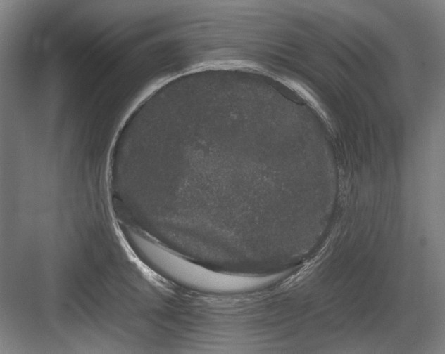 X0000082941046200702152209