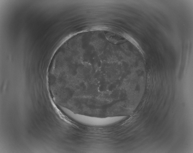 X0000082941047200702152209