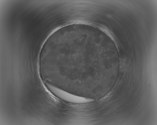 X0000082941048200702152209