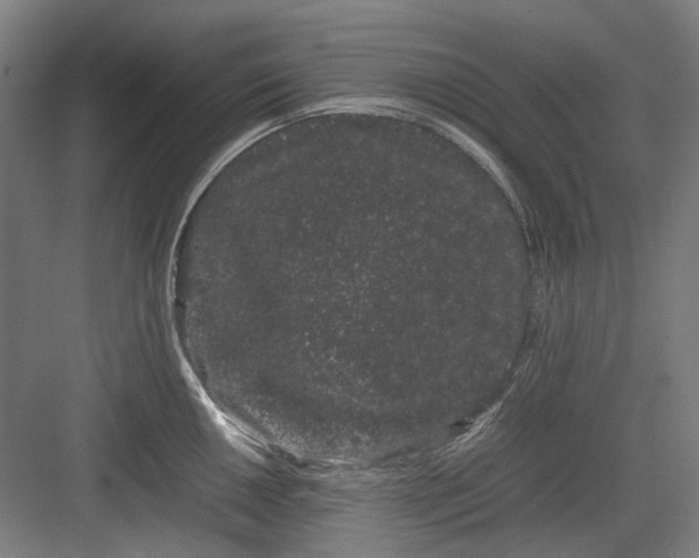 X0000082941050200702152209