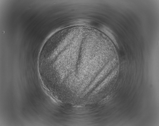 X0000082941051200702152209