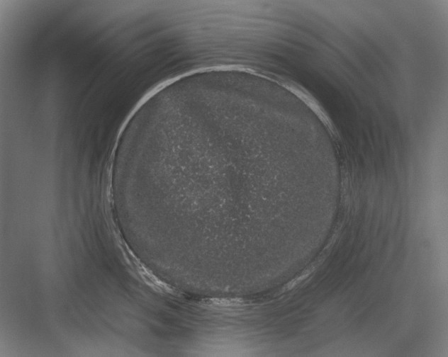 X0000082941052200702152209