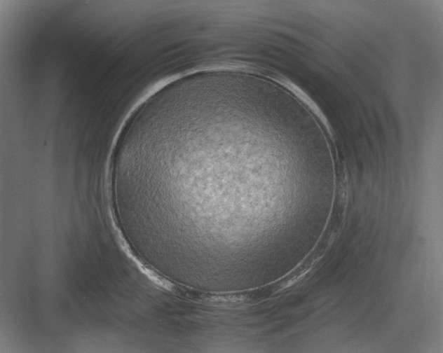 X0000082941053200702152209