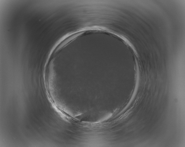 X0000082941054200702152209