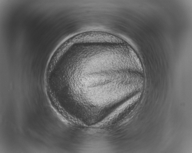 X0000082941056200702152209