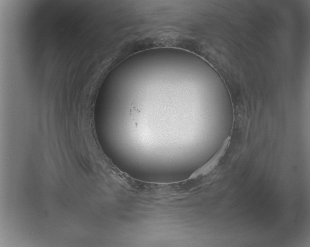 X0000082941057200702152208