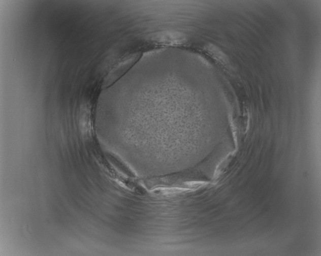 X0000082941058200702152208