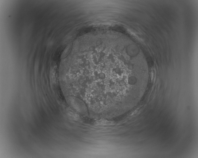 X0000082941059200702152208