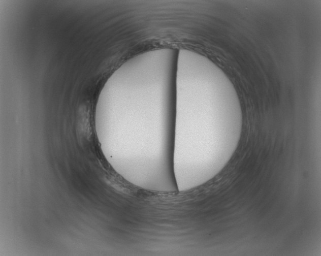 X0000082941060200702152208