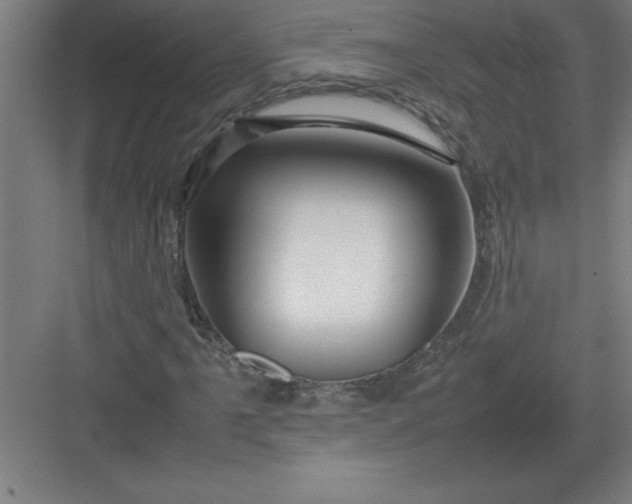 X0000082941061200702152208