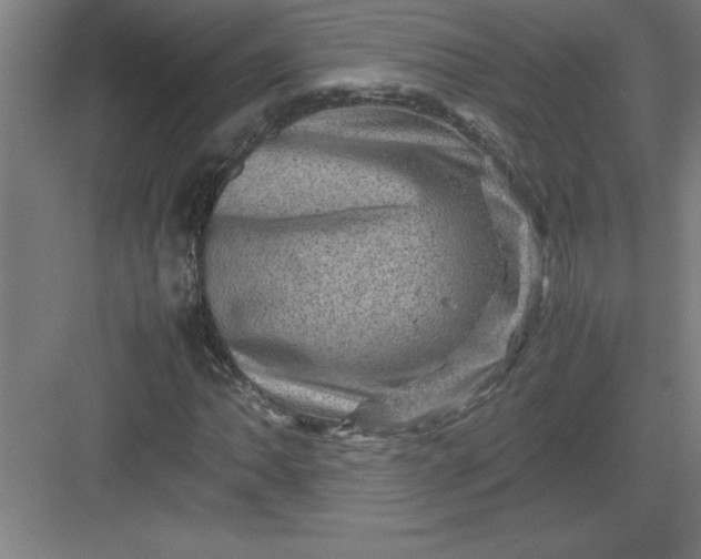 X0000082941062200702152208