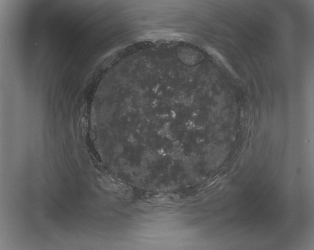 X0000082941063200702152208