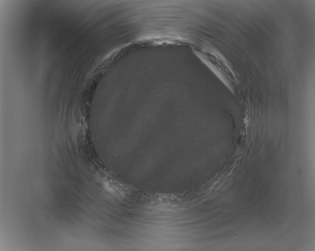 X0000082941064200702152208