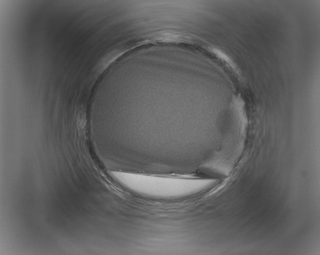 X0000082941065200702152208