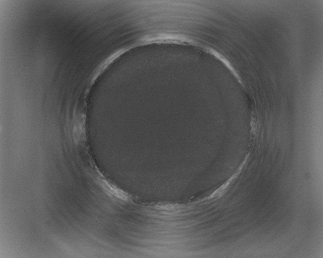 X0000082941066200702152208