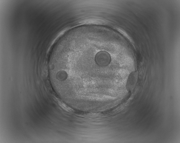 X0000082941067200702152208