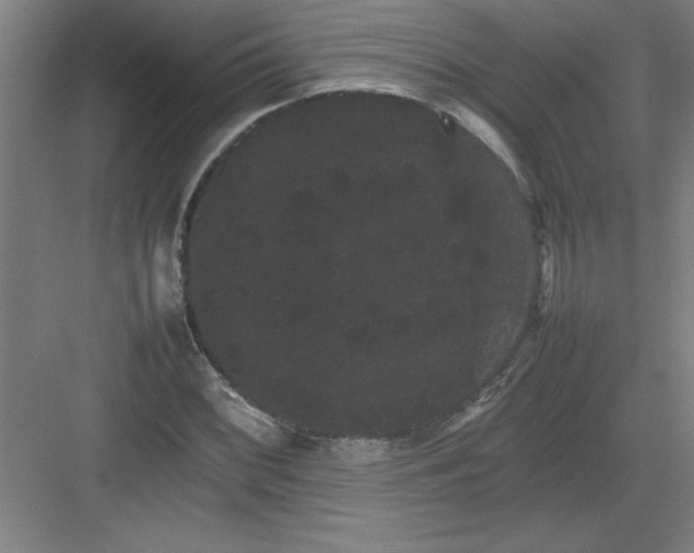 X0000082941068200702152208