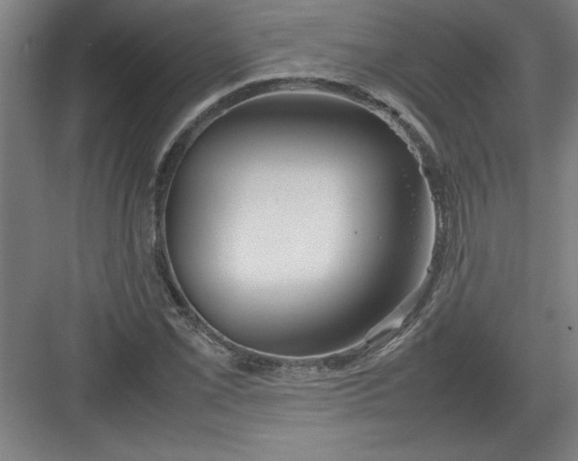 X0000082941069200702152208